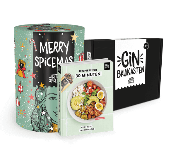 Advent Calendar 2023 | Unique spice mixes and seasonings | Just Spices®